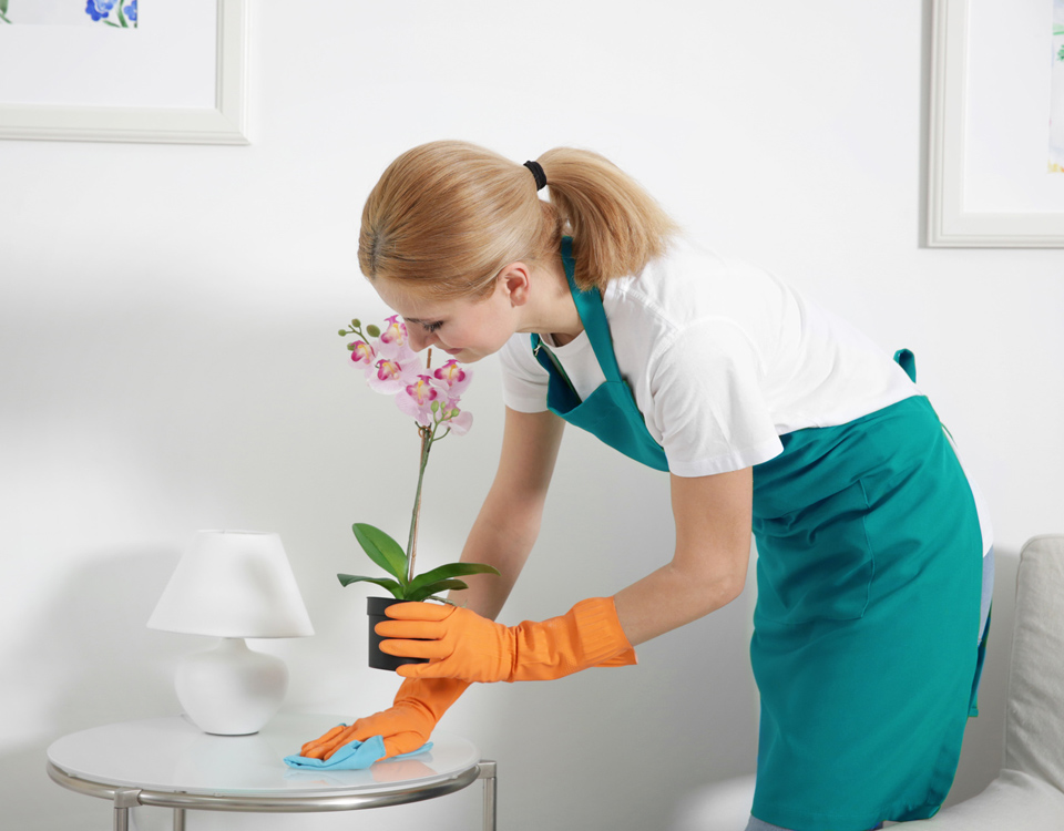 cleaning table